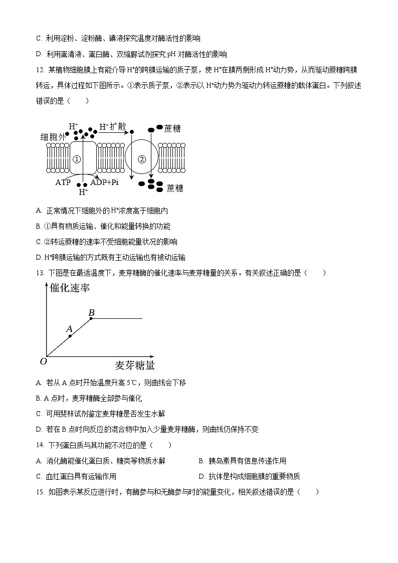 2024一中高一上学期第一次月考试题生物含解析（创新班）第3页