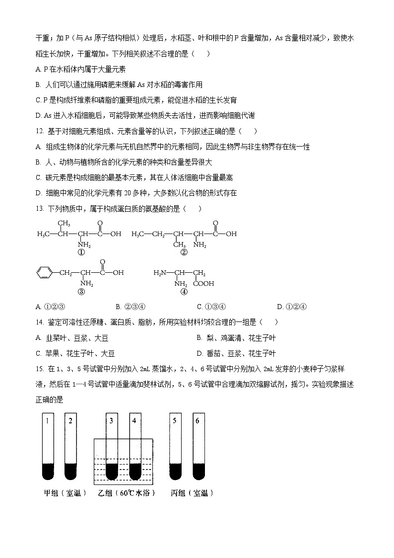 广东省深圳市光明区高级中学2023-2024学年高一10月月考生物试题（原卷版）第3页