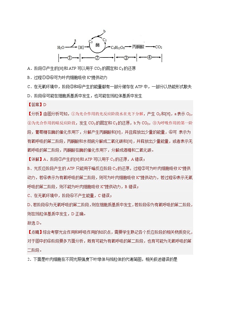 新高考生物二轮复习易错题精选练习易错点09 光合作用与呼吸作用（含解析）第2页