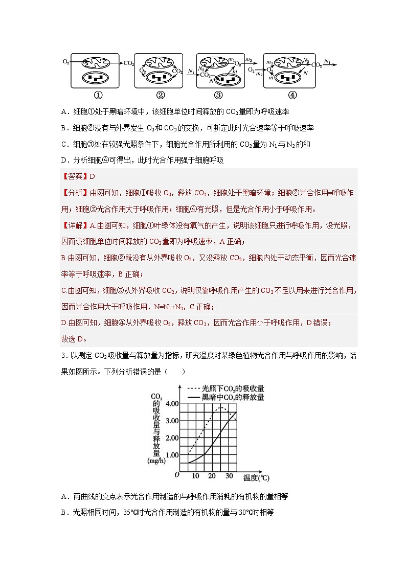 新高考生物二轮复习易错题精选练习易错点09 光合作用与呼吸作用（含解析）第3页