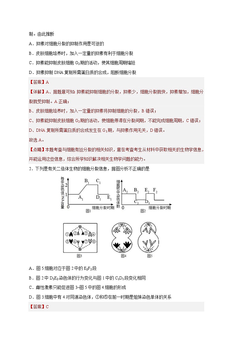新高考生物二轮复习易错题精选练习易错点10 有丝分裂与减数分裂（含解析）第2页