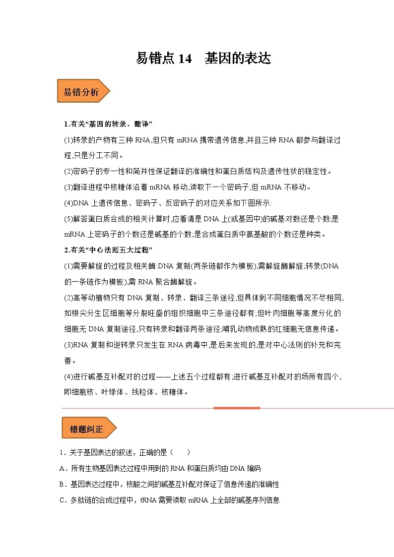 新高考生物二轮复习易错题精选练习易错点14  基因的表达（含解析）01