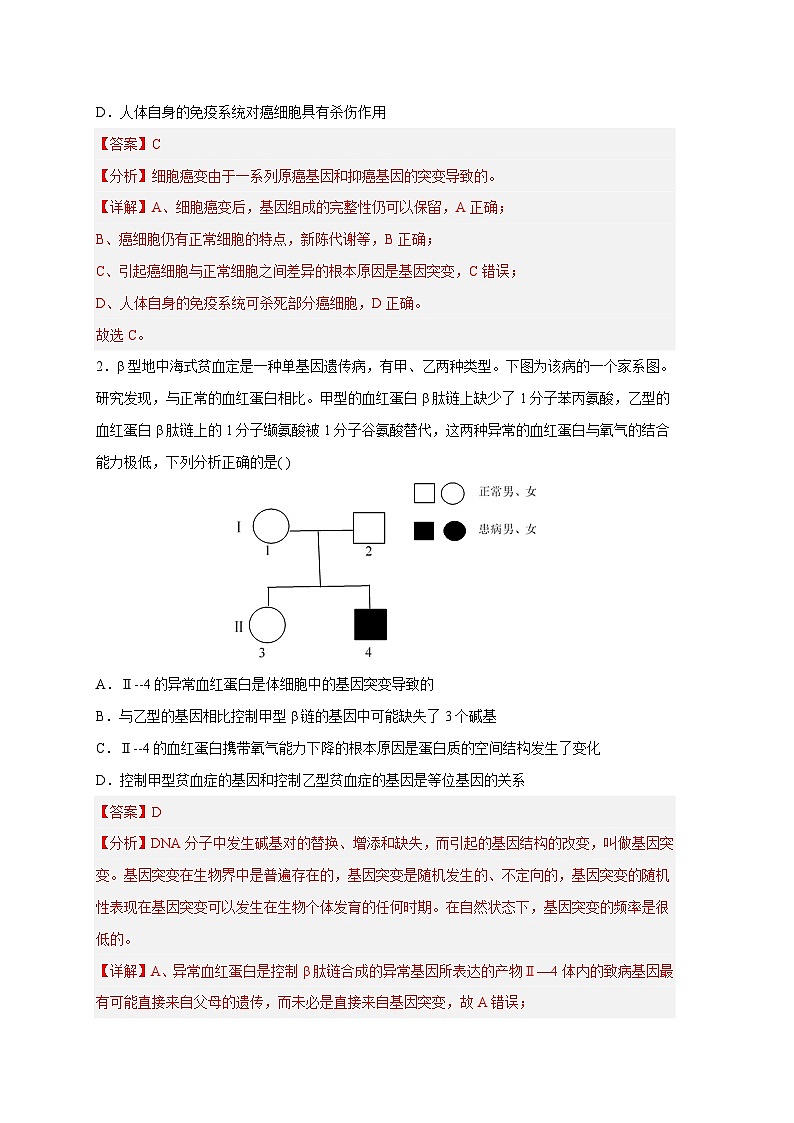 新高考生物二轮复习易错题精选练习易错点17  基因突变和基因重组（含解析）02