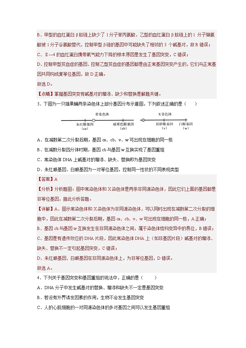 新高考生物二轮复习易错题精选练习易错点17  基因突变和基因重组（含解析）03
