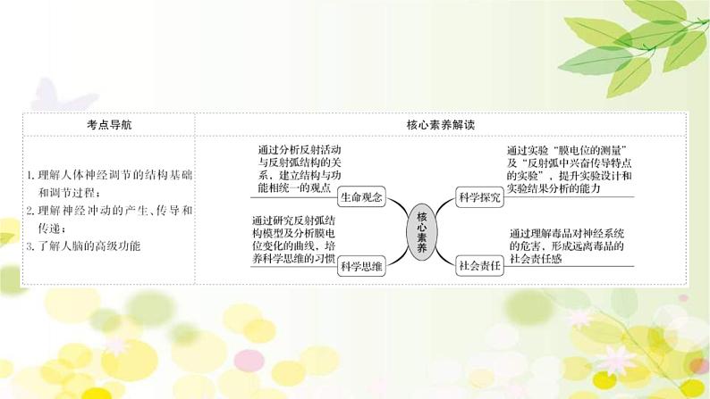 新高考生物一轮复习课件 第八单元 第2课 通过神经系统的调节（含解析）第2页