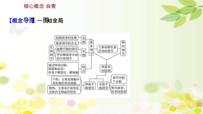 新高考生物一轮复习课件 第八单元 第3课 通过激素的调节及神经调节与体液调节的关系（含解析）第3页