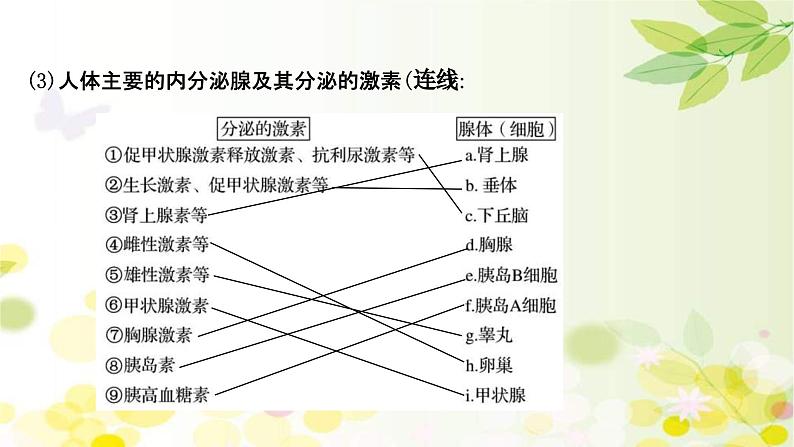 新高考生物一轮复习课件 第八单元 第3课 通过激素的调节及神经调节与体液调节的关系（含解析）第7页