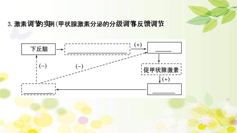 新高考生物一轮复习课件 第八单元 第3课 通过激素的调节及神经调节与体液调节的关系（含解析）第8页