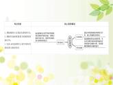 新高考生物一轮复习课件 第八单元 第5课 植物的激素调节（含解析）