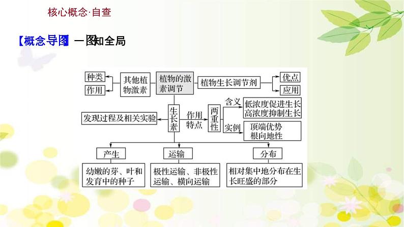 新高考生物一轮复习课件 第八单元 第5课 植物的激素调节（含解析）第3页