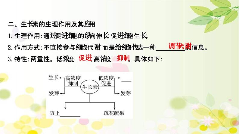 新高考生物一轮复习课件 第八单元 第5课 植物的激素调节（含解析）第8页