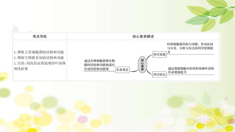 新高考生物一轮复习课件 第二单元 第2课 细胞器和生物膜系统（含解析）第2页