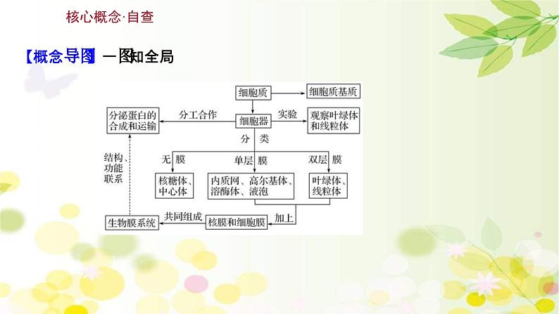 新高考生物一轮复习课件 第二单元 第2课 细胞器和生物膜系统（含解析）第3页