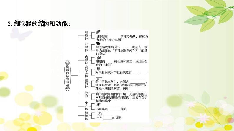 新高考生物一轮复习课件 第二单元 第2课 细胞器和生物膜系统（含解析）第5页