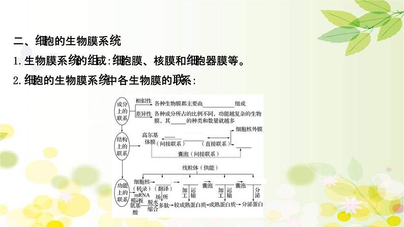 新高考生物一轮复习课件 第二单元 第2课 细胞器和生物膜系统（含解析）第6页