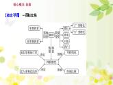 新高考生物一轮复习课件 第九单元 第1课 种群的特征和数量的变化（含解析）