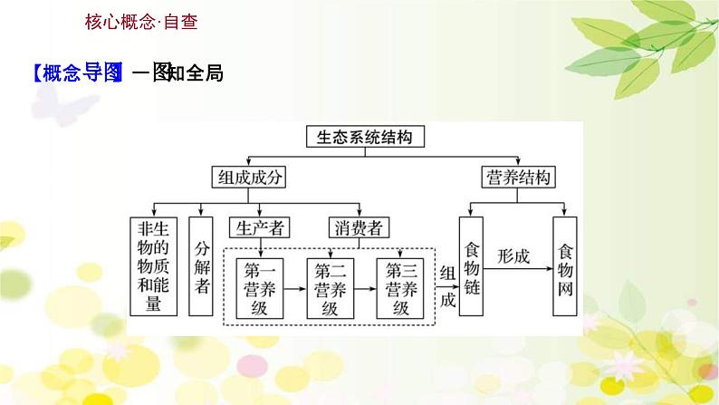 新高考生物一轮复习课件 第九单元 第3课 生态系统的结构（含解析）03