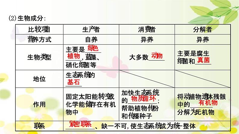 新高考生物一轮复习课件 第九单元 第3课 生态系统的结构（含解析）06