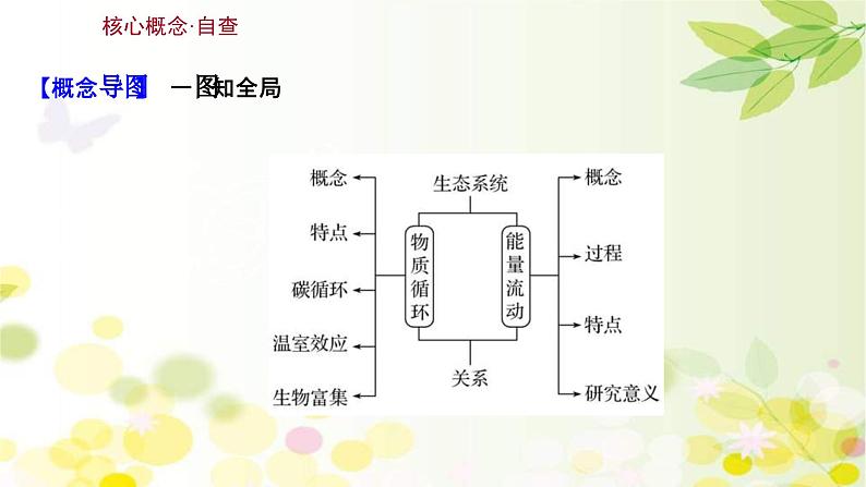 新高考生物一轮复习课件 第九单元 第4课 生态系统的能量流动和物质循环（含解析）第3页