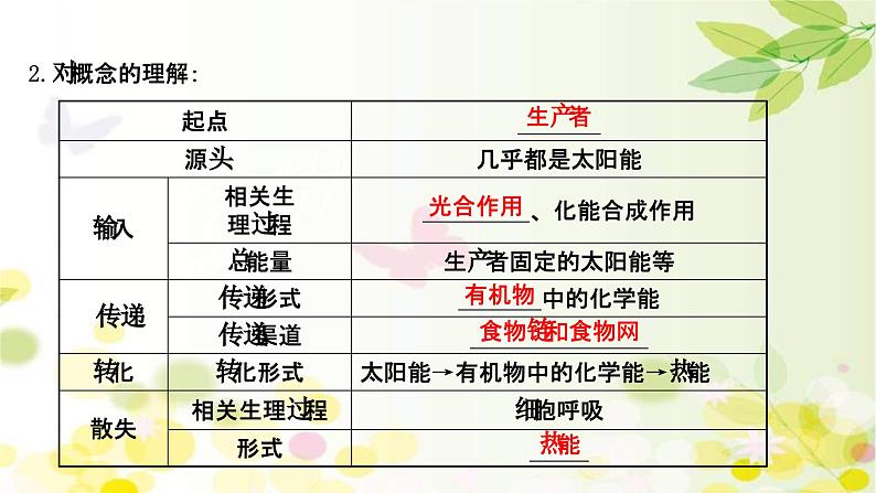 新高考生物一轮复习课件 第九单元 第4课 生态系统的能量流动和物质循环（含解析）第5页