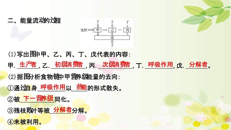 新高考生物一轮复习课件 第九单元 第4课 生态系统的能量流动和物质循环（含解析）第6页