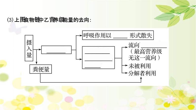 新高考生物一轮复习课件 第九单元 第4课 生态系统的能量流动和物质循环（含解析）第7页