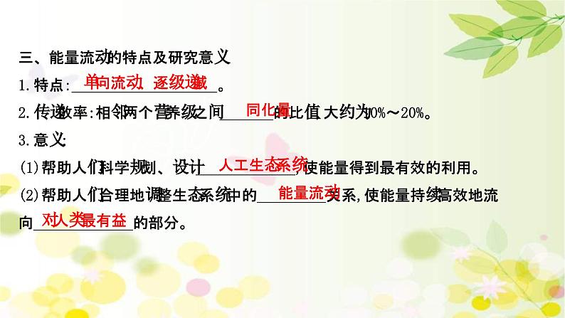 新高考生物一轮复习课件 第九单元 第4课 生态系统的能量流动和物质循环（含解析）第8页