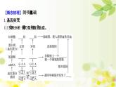 新高考生物一轮复习课件 第七单元 第1课 基因突变和基因重组（含解析）