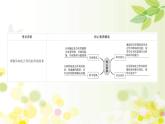 新高考生物一轮复习课件 第三单元 第4课 影响光合作用的因素及光合作用和细胞呼吸的关系（含解析）