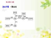 新高考生物一轮复习课件 第十单元 第1课 传统发酵技术的应用（含解析）