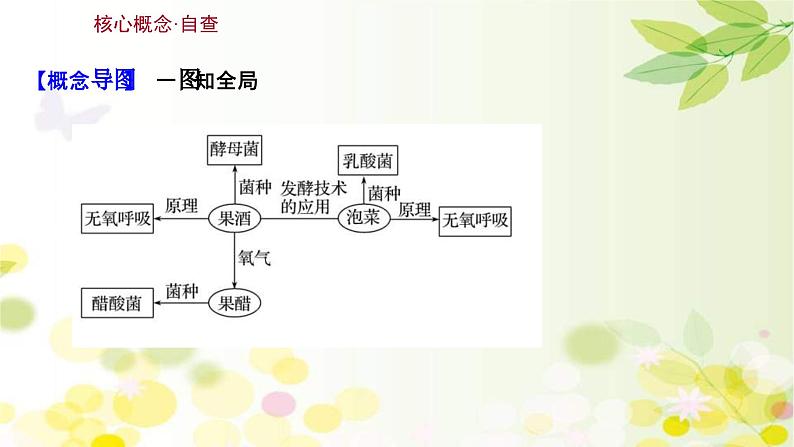 新高考生物一轮复习课件 第十单元 第1课 传统发酵技术的应用（含解析）03