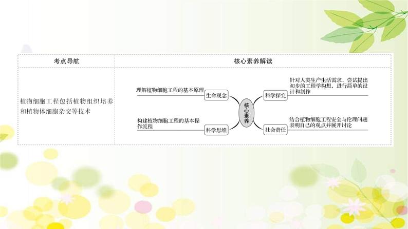 新高考生物一轮复习课件 第十单元 第5课 植物细胞工程（含解析）第2页