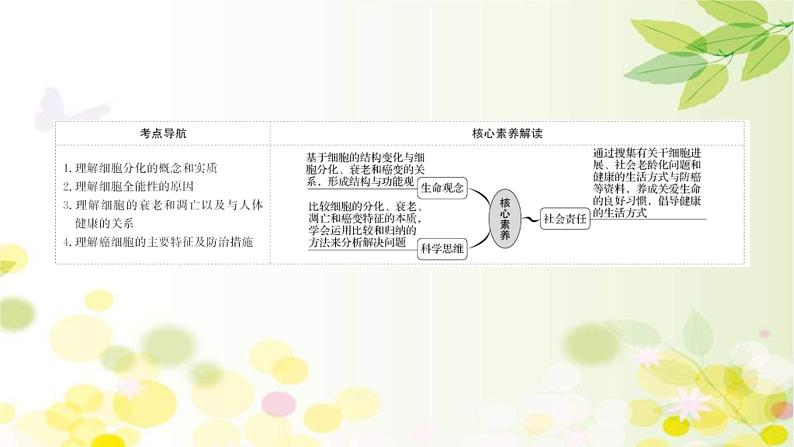 新高考生物一轮复习课件 第四单元 第3课 细胞的分化、衰老、凋亡和癌变（含解析）第2页