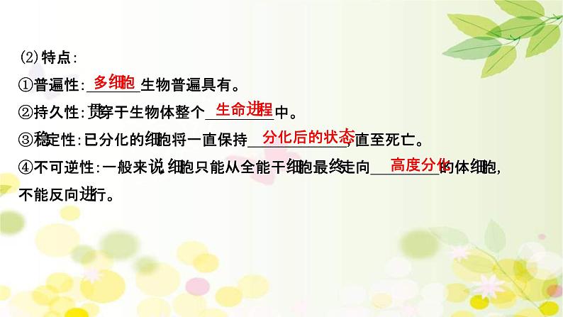 新高考生物一轮复习课件 第四单元 第3课 细胞的分化、衰老、凋亡和癌变（含解析）第5页