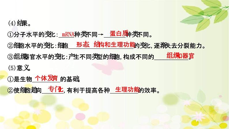 新高考生物一轮复习课件 第四单元 第3课 细胞的分化、衰老、凋亡和癌变（含解析）第7页