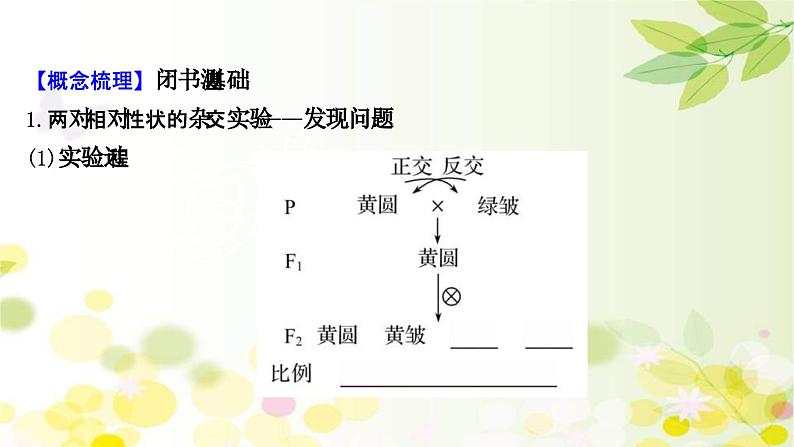 新高考生物一轮复习课件 第五单元 第2课 基因的自由组合定律（含解析）04