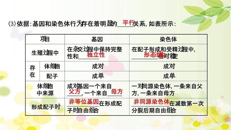 新高考生物一轮复习课件 第五单元 第3课 基因在染色体上、伴性遗传与人类遗传病（含解析）第5页