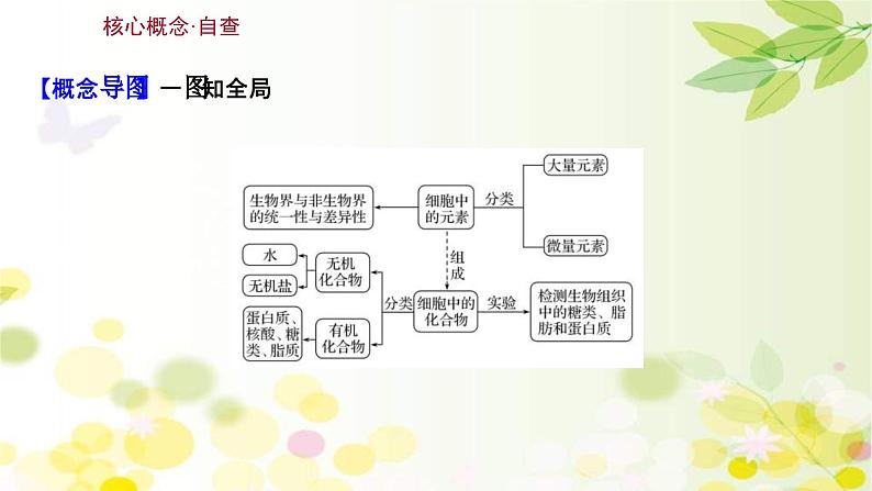 新高考生物一轮复习课件 第一单元 第2课 细胞中的无机物 糖类和脂质（含解析）03