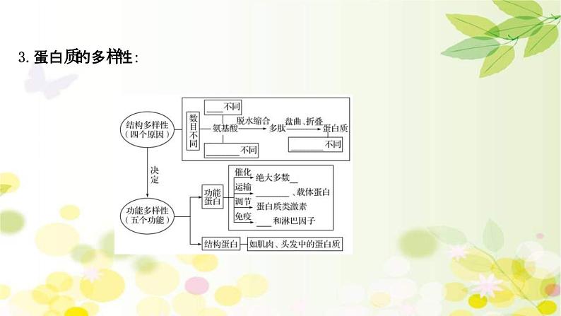 新高考生物一轮复习课件 第一单元 第3课 蛋白质和核酸（含解析）06