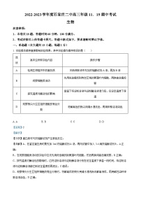 河北省石家庄市第二中学2022-2023学年高三生物上学期11月期中试题（Word版附解析）