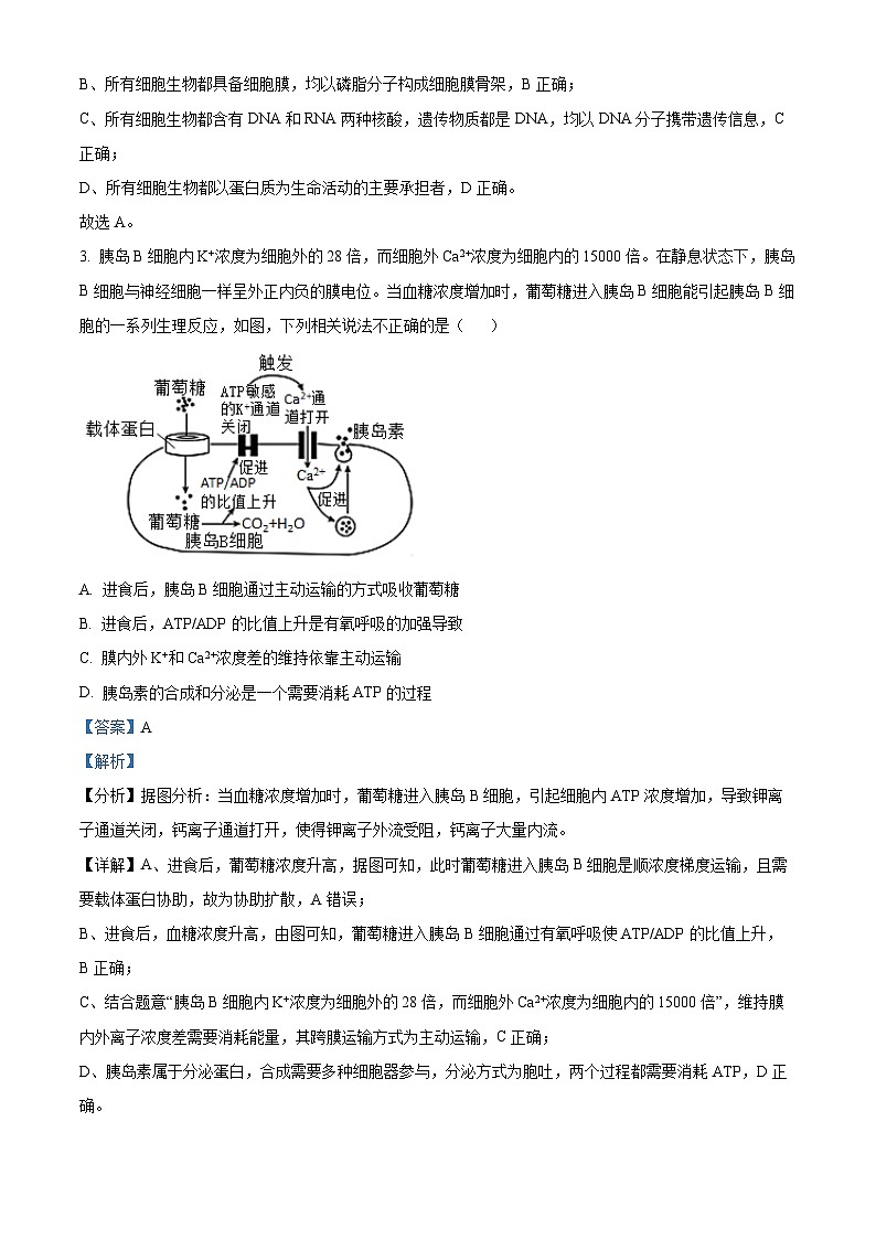 河北省唐山市第一中学2021-2022学年高三生物上学期期中试题（Word版附解析）第2页