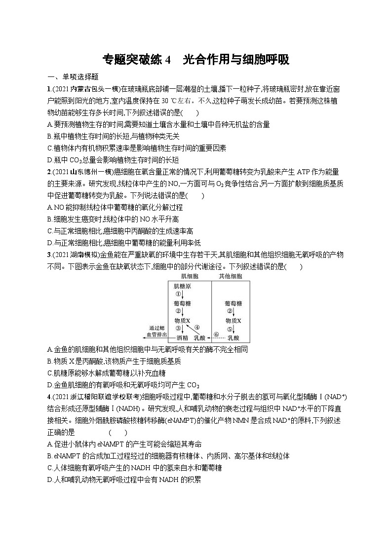 新高考生物二轮复习专题突破练4　光合作用与细胞呼吸（含解析）第1页