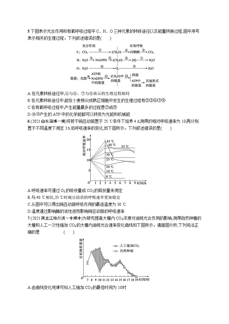新高考生物二轮复习专题突破练4　光合作用与细胞呼吸（含解析）第2页