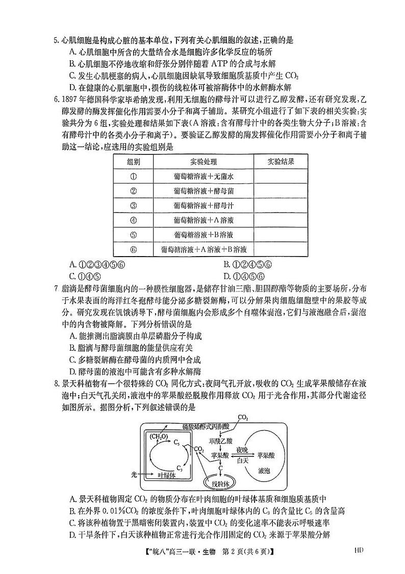 安徽省皖南八校2023-2024学年高三上学期第一次大联考生物试题02