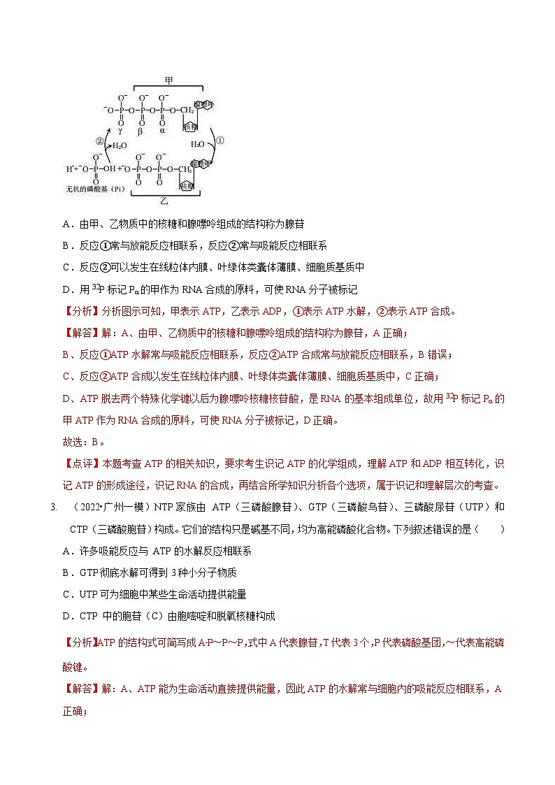 新高考生物二轮复习讲练测第3讲 酶和ATP（检测）（含解析）02
