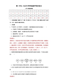 新高考生物一轮复习单元滚动检测第二单元 光合作用和细胞呼吸的综合（ 新题基础练）（含解析）