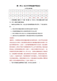 新高考生物一轮复习单元滚动检测第二单元 光合作用和细胞呼吸综合（ 能力提升练）（含解析）