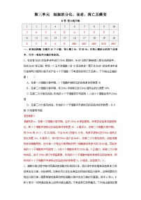 新高考生物一轮复习单元滚动检测第三单元  细胞的分化、衰老、凋亡及癌变（ 能力提升练）（含解析）