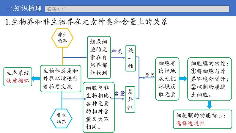 新高考生物一轮复习核心考点练习课件第02讲 细胞中的元素与化合物（含解析）第6页