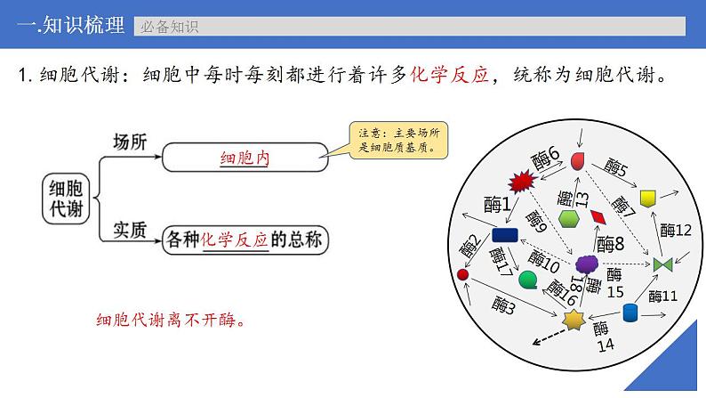 新高考生物一轮复习核心考点练习课件第09讲 酶（含解析）第6页